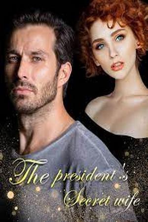 The President's Secret Wife by Josephine